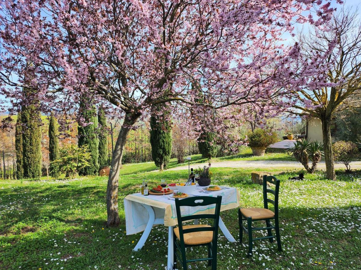Agriturismo Lucertola Montecatini Val di Cecina Eksteriør billede
